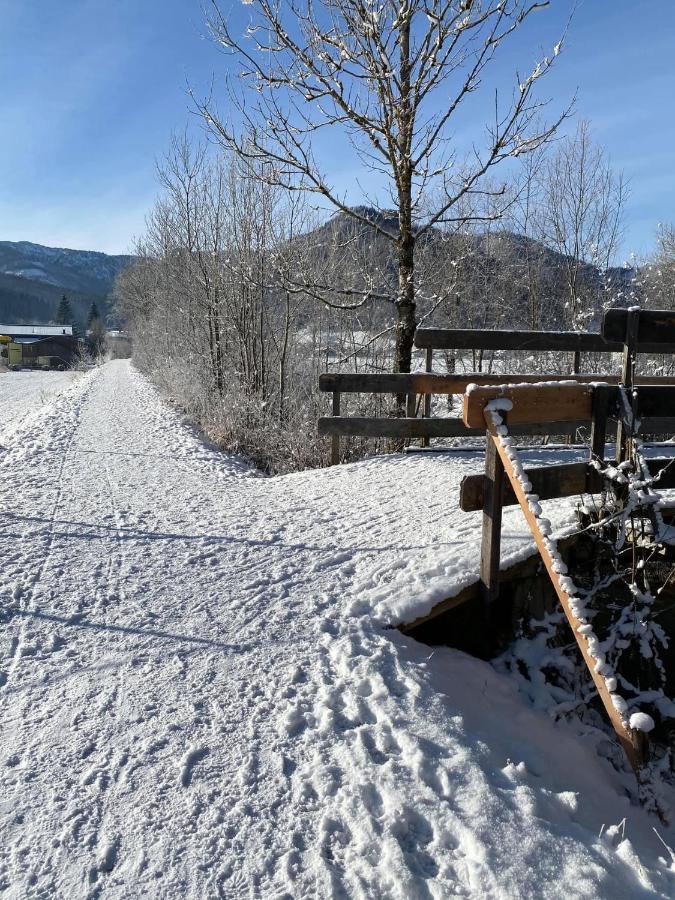 Haus Alpenrose Apartment Waidring